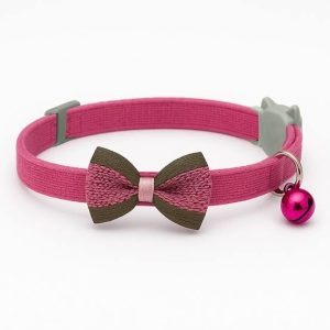 collar gato